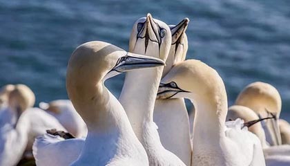 德媒：特尔施特根因伤退出巴萨沙特训练营|巴塞罗那|德国|半决赛|西班牙超级杯|毕尔巴鄂竞技_新浪体育_新浪新闻